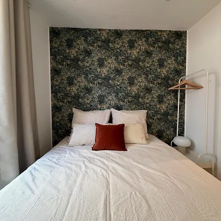 Apartment T2 Design Terrasse Clim Lit Queen Villeurbanne